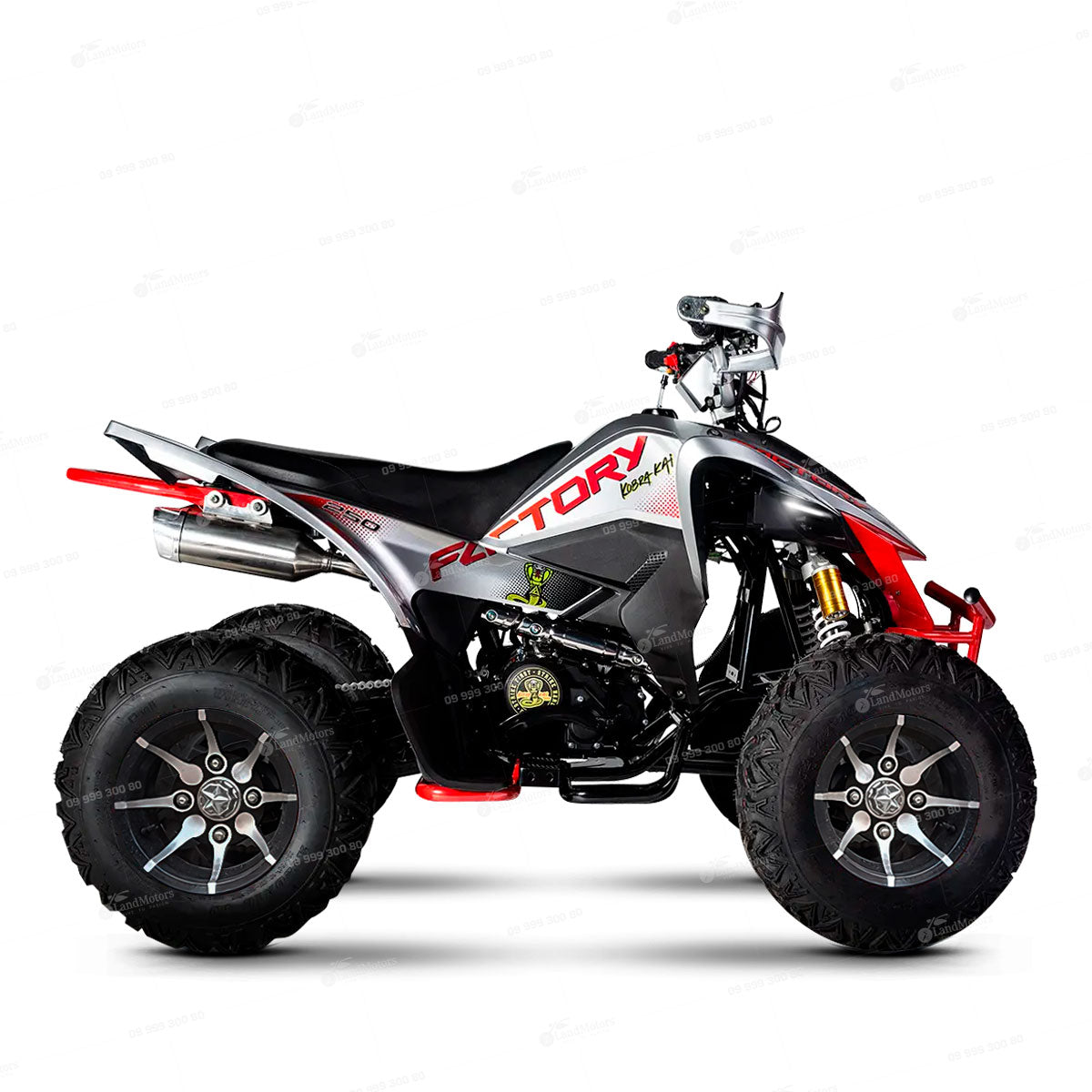 FACTORY / KOBRA KAI 250