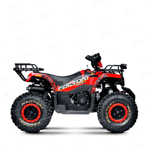 FACTORY / BIG BEAR 200